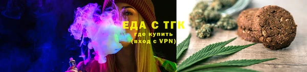 индика Абаза