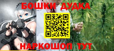 сатива Нальчик