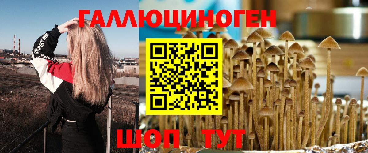 Псилоцибиновые грибы ЛСД Татарск